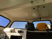 Navio de pesca de arrasto à venda