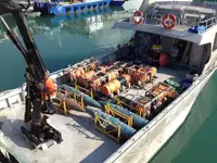 Barcos de trabalho à venda