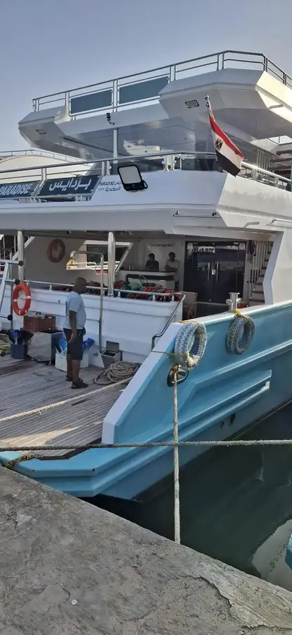 Navio de cruzeiro à venda