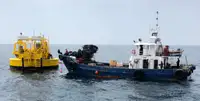 Barcos de trabalho à venda