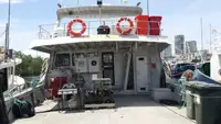 Barcos de trabalho à venda