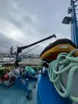Barcos de trabalho à venda