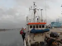 Barcos de trabalho à venda