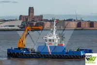 Barcos de trabalho à venda
