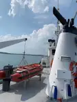 Navio graneleiro à venda