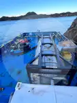 Graneleiro à venda