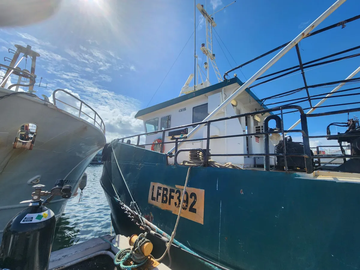Navio de pesca de arrasto à venda
