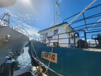 Navio de pesca de arrasto à venda
