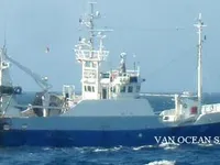 Navio de pesca de arrasto à venda