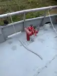 Barcos de trabalho à venda