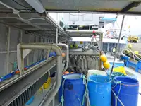 Longliner à venda