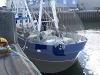 Navio de pesca de arrasto de rede de fundo à venda