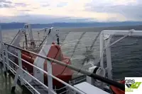 Navio Ro-Ro à venda