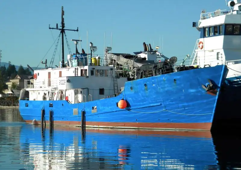 Navio graneleiro à venda