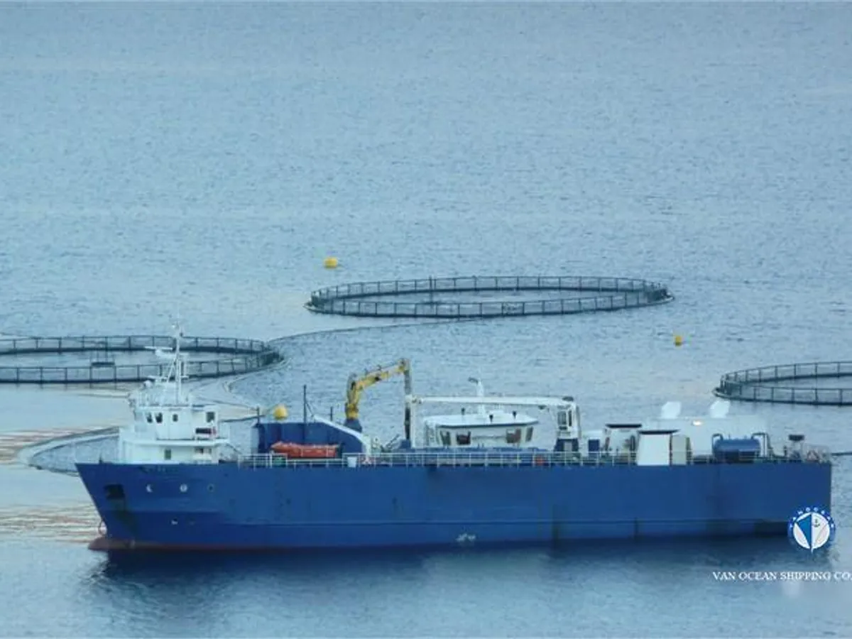 Navio frigorífico à venda