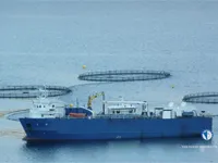 Navio frigorífico à venda
