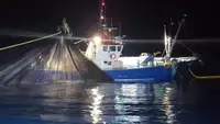 Navio de pesca de arrasto à venda