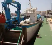 Barcos de trabalho à venda