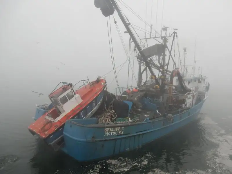 Navio de pesca de cerco à venda