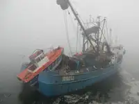 Navio de pesca de cerco à venda
