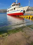 Navio de cruzeiro à venda