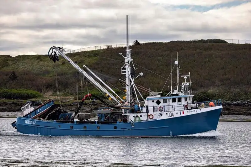 Navio de pesca de cerco à venda