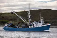 Navio de pesca de cerco à venda