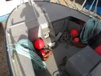 Barcos de trabalho à venda