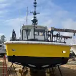 Barcos de trabalho à venda
