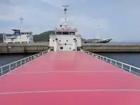 Navio graneleiro à venda