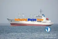 Navio frigorífico à venda