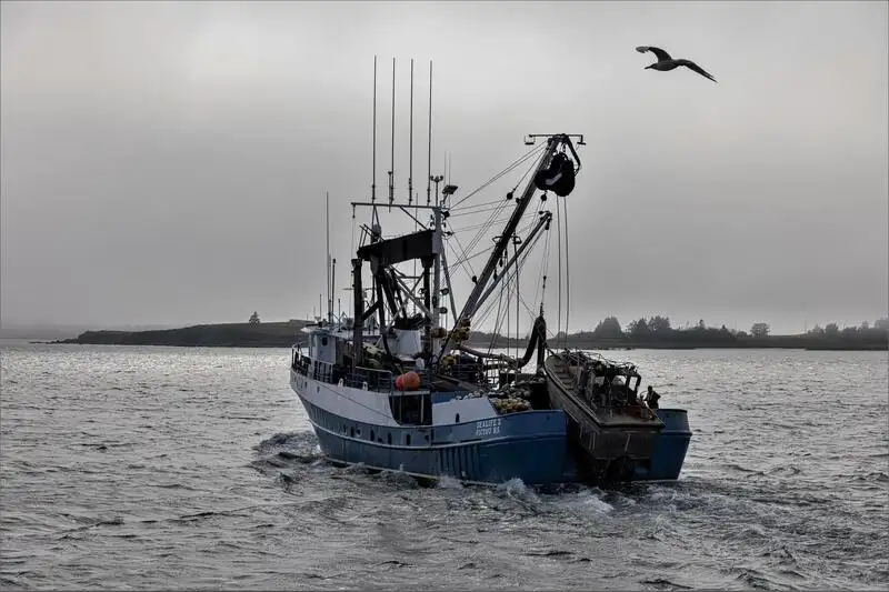 Navio de pesca de cerco à venda