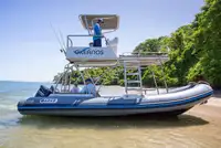 Bote inflável rígido à venda