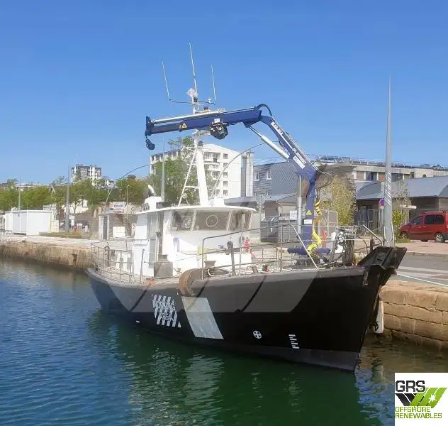 Barcos de trabalho à venda