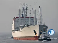 Navio frigorífico à venda