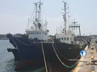Navio de pesca de arrasto à venda