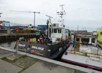 Barcos de trabalho à venda