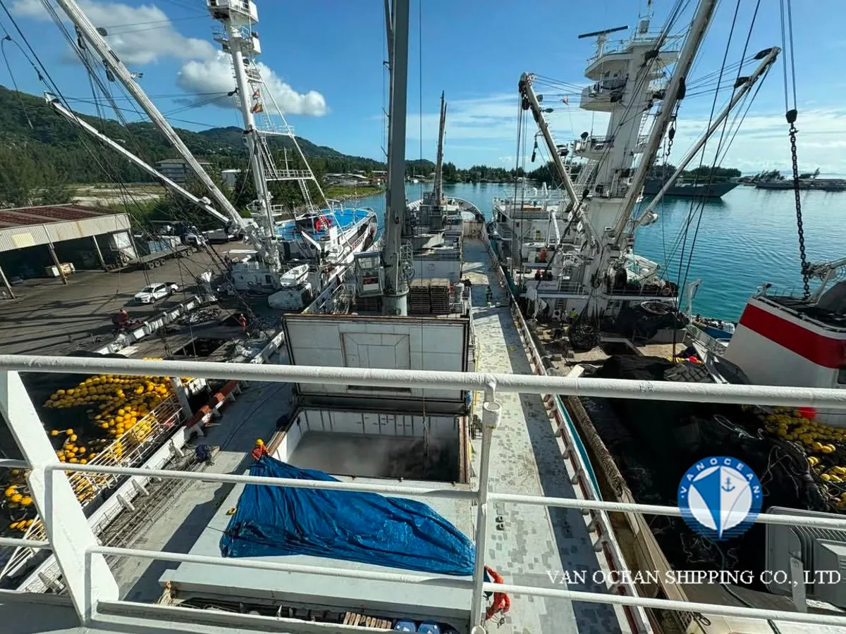 Navio frigorífico à venda
