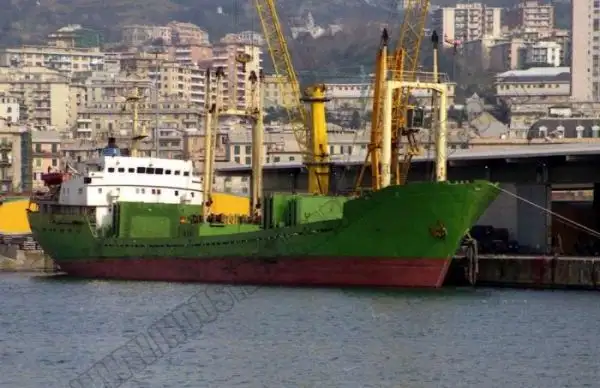 Navio graneleiro à venda