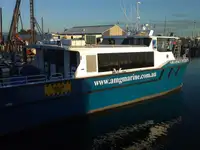Catamarã à venda
