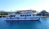 Catamarã à venda