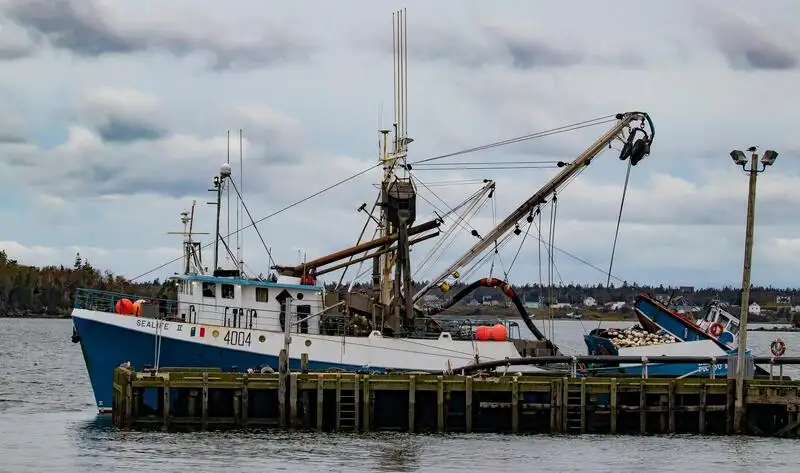 Navio de pesca de cerco à venda