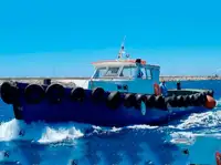 Barcos de trabalho à venda