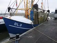 Navio de pesca de arrasto à venda