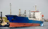 Navio Reefer à venda