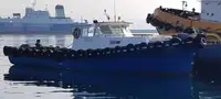 Barcos de trabalho à venda