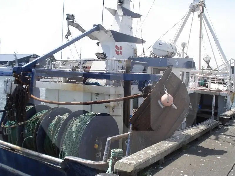 Navio transportador de peixes vivos à venda