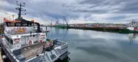 Catamarã à venda