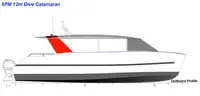Catamarã à venda