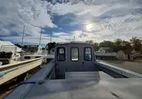 Barcos de trabalho à venda